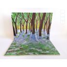 Spring forest - background