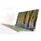Spring forest - background