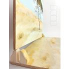 Background for the savanna toy