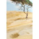 Background for the savanna toy