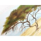 Background for the savanna toy