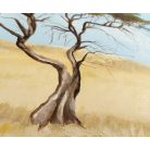 Background for the savanna toy