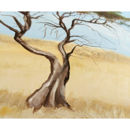 Background for the savanna toy