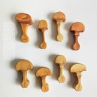 Mushroom - DaduGarden plantable