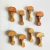 Mushroom - DaduGarden plantable