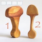 Mushroom - DaduGarden plantable