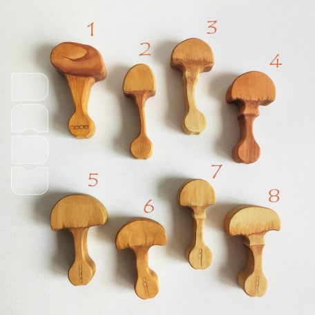 Mushroom - DaduGarden plantable