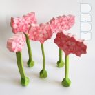 Amaryllis — DaduGarden plantable