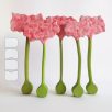 Amaryllis — DaduGarden plantable