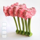Amaryllis — DaduGarden plantable