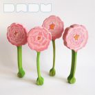 Peony flower — DaduGarden plantable