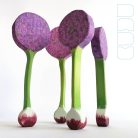 Onion flower - DaduGarden plantable