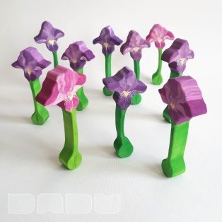 Iris - DaduGarden plantable