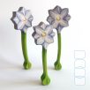 Clematis — DaduGarden Plantable