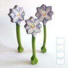 Clematis — DaduGarden Plantable
