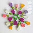 Crocus - DaduGarden plantable