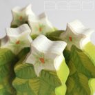 Potato - DaduGarden plantable