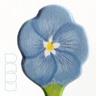 Flax flower - DaduGarden plantable