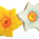 Narcissus - DaduGarden plantable
