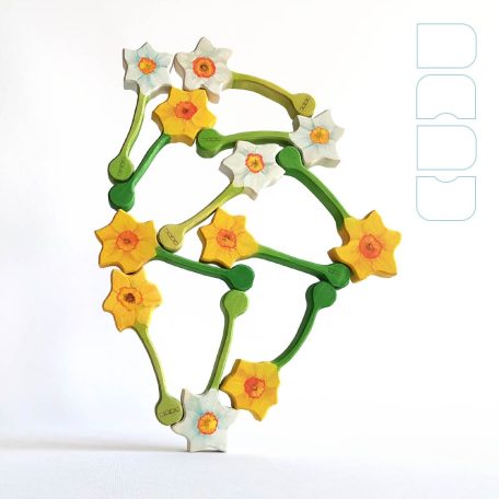 Narcissus - DaduGarden plantable