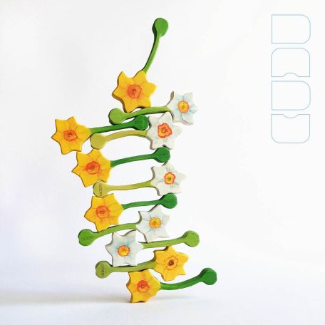 Narcissus - DaduGarden plantable