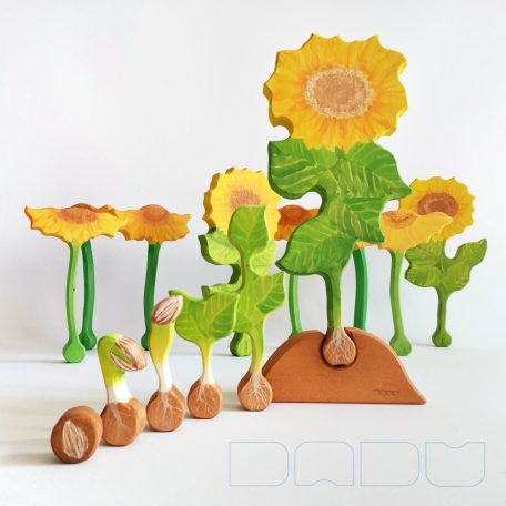 Crop grower dadu — wooden toy for developing sunflower and children :)