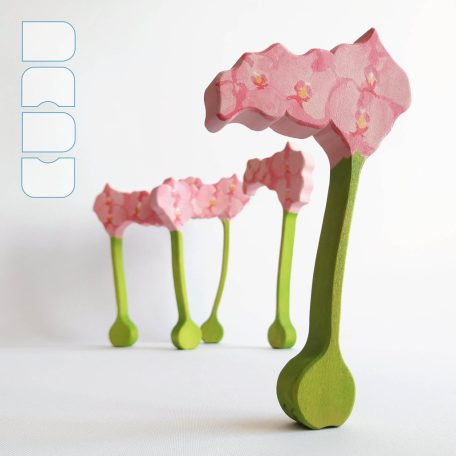 Orchid with pink flowers — DaduGarden plantable