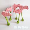 Orchid with pink flowers — DaduGarden plantable