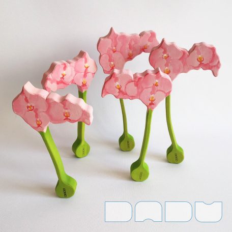 Orchid with pink flowers — DaduGarden plantable