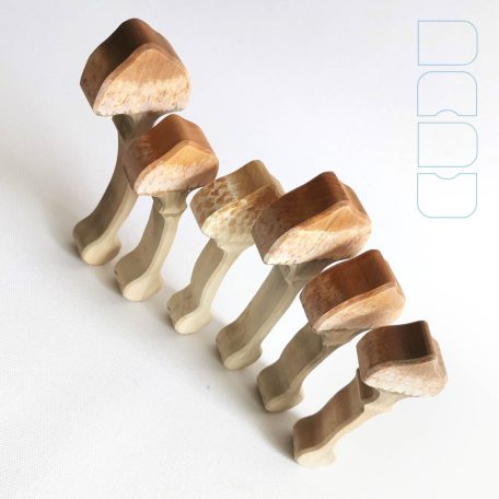 Slender parasol - DaduGarden plantable