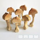 Slender parasol - DaduGarden plantable