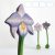 Orchid with violet flower — DaduGarden plantable
