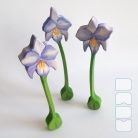 Orchid with violet flower — DaduGarden plantable