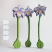 Orchid with violet flower — DaduGarden plantable