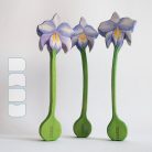 Orchid with violet flower — DaduGarden plantable