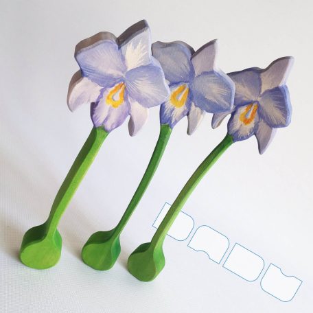 Orchid with violet flower — DaduGarden plantable