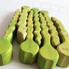 Asparagus - DaduGarden plantable