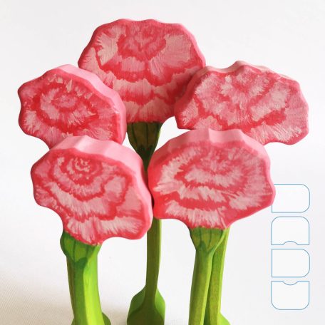 Carnation - DaduGarden plantable