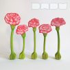 Carnation - DaduGarden plantable