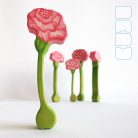 Carnation - DaduGarden plantable