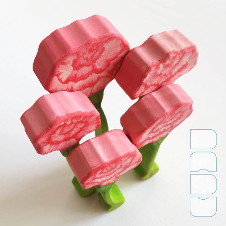 Carnation - DaduGarden plantable