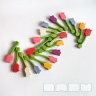 Tulip - DaduGarden plantable