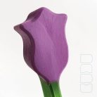 Tulip - DaduGarden plantable