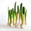 Spring onion - DaduGarden plantable