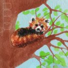 Red panda on tree  -  wooden toy
