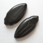 Giant water scavenger beetles