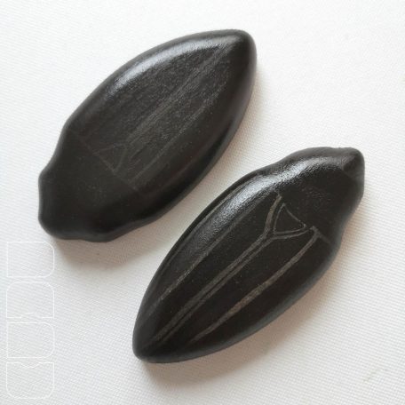 Giant water scavenger beetles