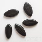 Giant water scavenger beetles