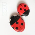 Ladybug