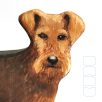 Welsh terrier dadudog